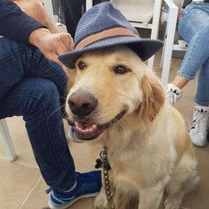 Meet your Posher, Andres